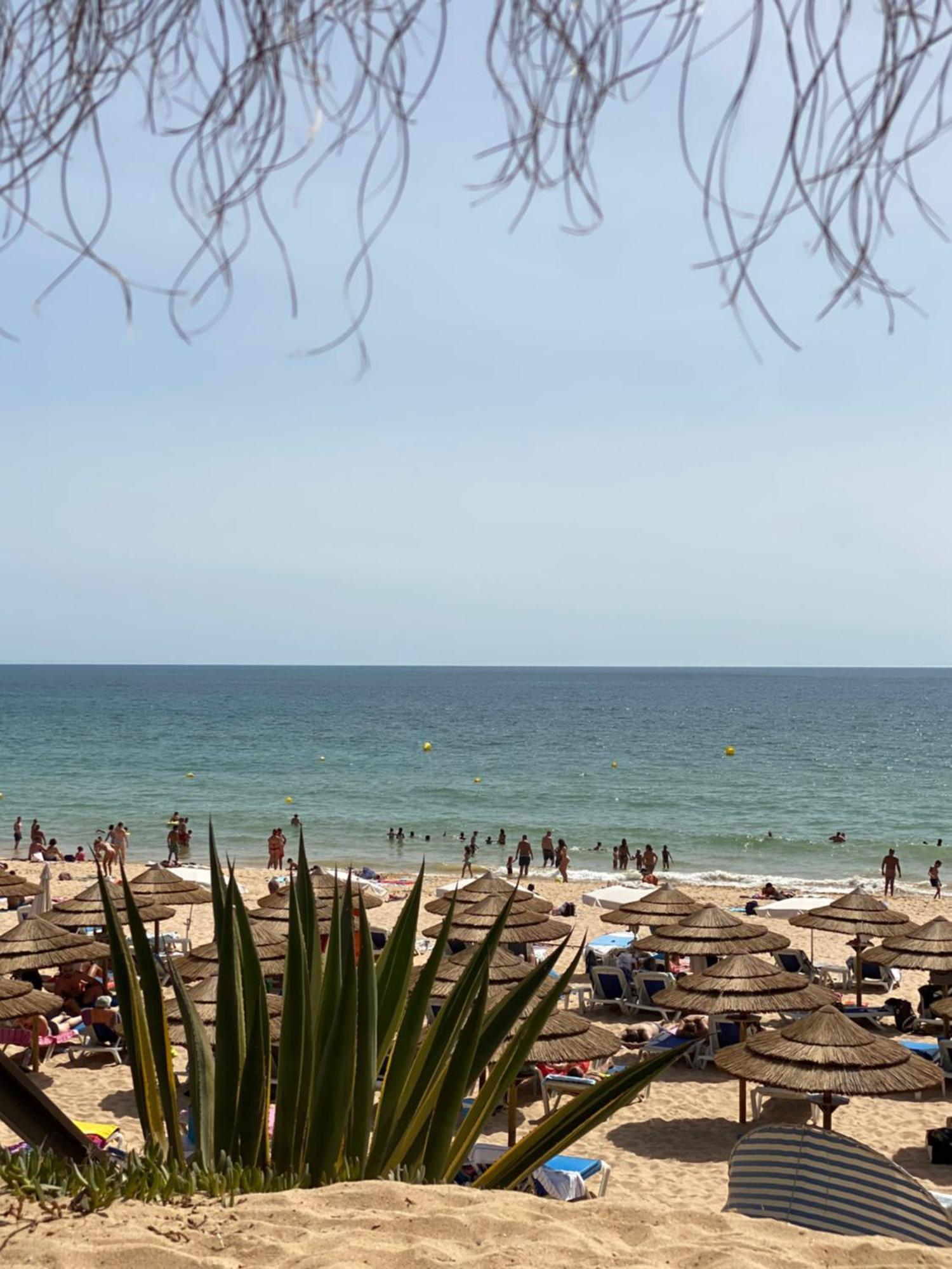 Apartamento Vip Lägenhet Albufeira Exteriör bild